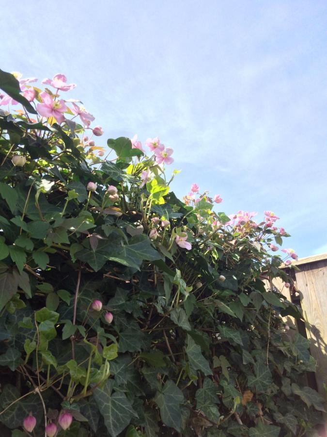 Bed & Breakfast Yerseke Bagian luar foto