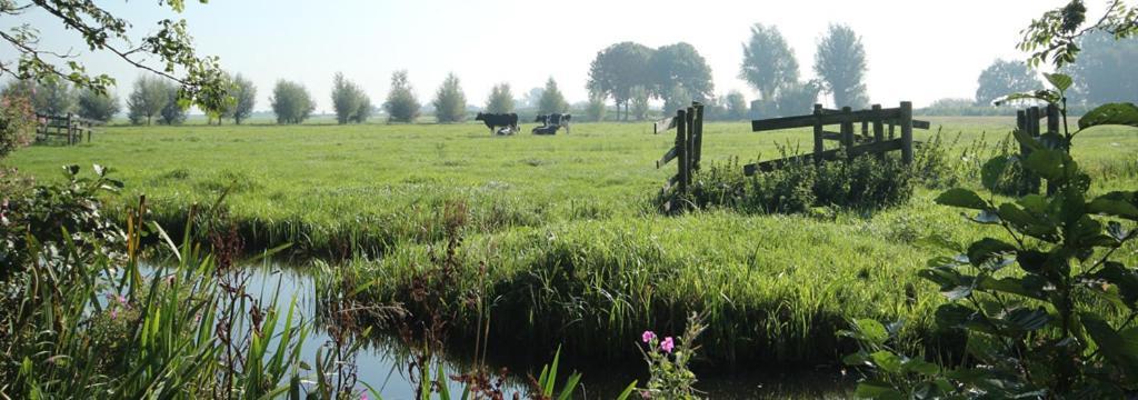 Bed & Breakfast Yerseke Bagian luar foto