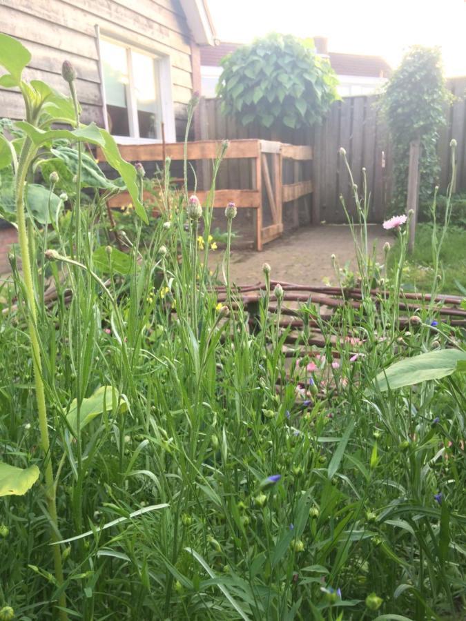 Bed & Breakfast Yerseke Bagian luar foto