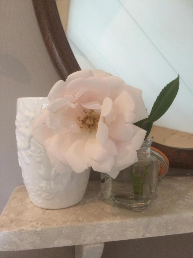 Bed & Breakfast Yerseke Bagian luar foto