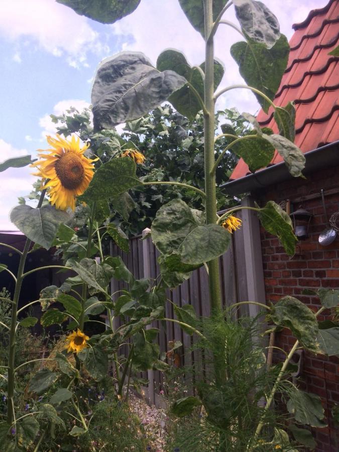Bed & Breakfast Yerseke Bagian luar foto
