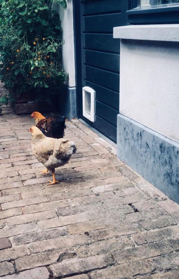 Bed & Breakfast Yerseke Bagian luar foto