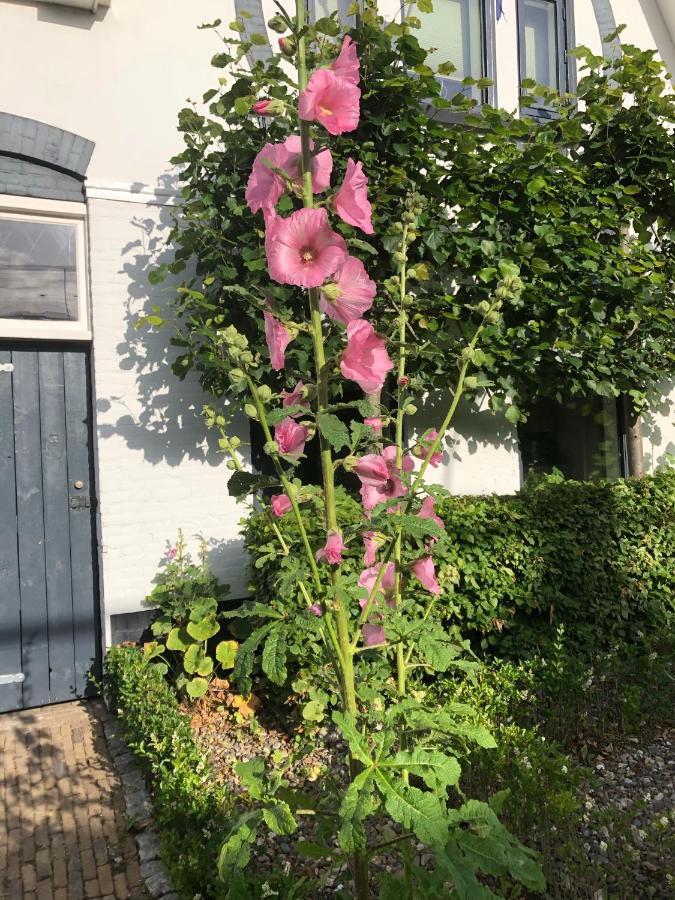 Bed & Breakfast Yerseke Bagian luar foto