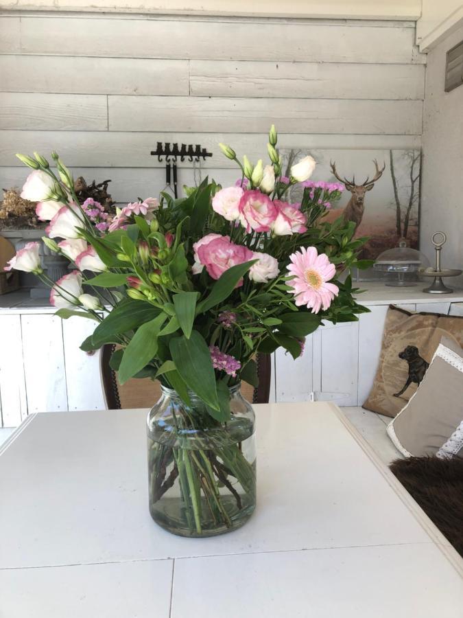 Bed & Breakfast Yerseke Bagian luar foto